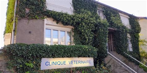 Meilleurs Vétérinaires et cliniques vétérinaires Metz 57000